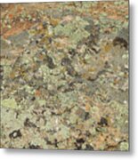 Lichens On Boulder Metal Print