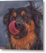 Lick Metal Print