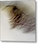 Light As A Feather Metal Print