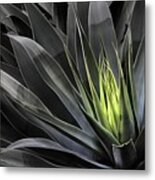 Light In Nature Metal Print