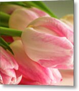 Light Pink Tulips In Sunlight Metal Print