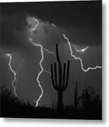 Lightning Storm Saguaro Fine Art Bw Photography Metal Print