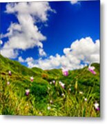Lilies Of The Wilderness Metal Print