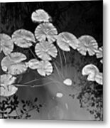 Lilly Pads Fakahtchee Strand Metal Print