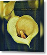 Lily From The Valley 3 Metal Print