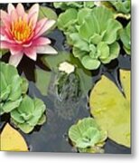 Lily Pad Lunch Metal Print
