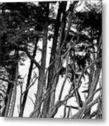 Limbs Metal Print