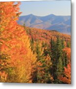 Lincoln Warren Road White Mountains Peak Fall Foliage Metal Print
