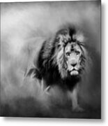 Lion - Pride Of Africa 3 - Tribute To Cecil In Black And White Metal Print