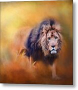 Lion - Pride Of Africa 3 - Tribute To Cecil Metal Print