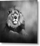 Lion - Pride Of Africa I - Tribute To Cecil In Black And White Metal Print
