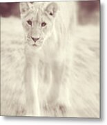 Lion Spirit Animal Metal Print