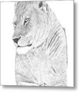 Lioness Metal Print