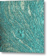 Liquid Aqua Silver Abstract Metal Print