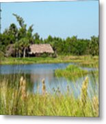 Little Grass Shack Painted Metal Print