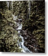 Little Stream In North Cascades National Park Metal Print