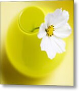 Little Yellow Vase Metal Print