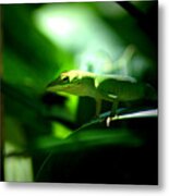 Lizard Portrait 3 Metal Print