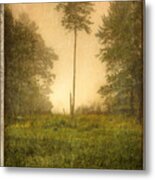 Lone Fog Tree In The Meadow Metal Print