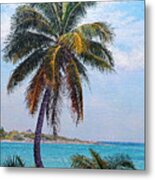 Lone Palm Metal Print