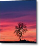 Lone Tree Sunset Metal Print