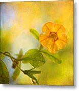 Lone Yellow Flower Metal Print