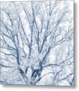 Lonely Oak Tree In Snowy, Misty Landscape Metal Print