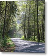 Lonely Road On The North Coast Metal Print