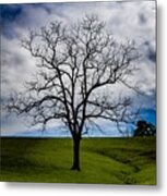 Lonely Tree Metal Print