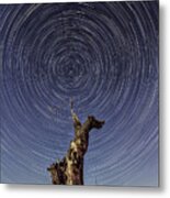 Lonely Tree Under Star Trails Metal Print