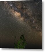 Lonely Tree Under The Stars Metal Print