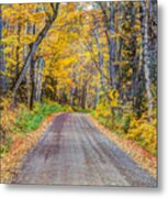 Long And Winding Autumn Roads North Shore Minnesota Metal Print