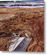 Long Forgotten Metal Print