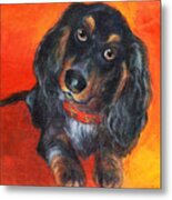 Long Haired Dachshund Dog Puppy Portrait Painting Metal Print