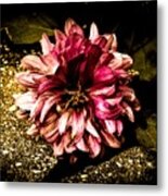 Looking Around-125 Metal Print