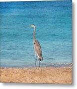 Looking Out To Sea Metal Print