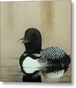 Loon Metal Print