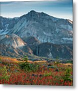 Loowit Falls Mount St Helens Wildflowers Metal Print