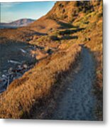 Lost Coast Trail 2 Metal Print