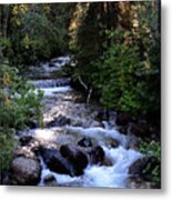 Lost Creek Metal Print