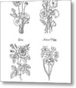 Lotus Iceland Poppy Red Rose Daffodils Drawing Metal Print