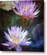 Lotus Reflections 2980 Idp_2 Metal Print