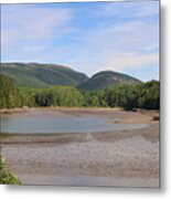 Low Tide In Acadia Metal Print