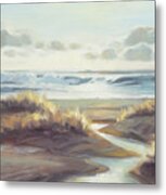 Low Tide Metal Print