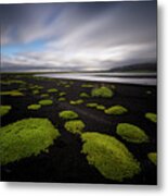 Lunar Moss Metal Print