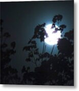 Luner Leaves Metal Print