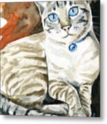Lynx Point Siamese Cat Painting Metal Print