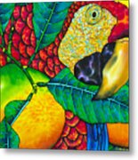 Macaw Close Up - Exotic Bird Metal Print