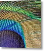 Macro Peacock Feather Metal Print