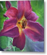 Magenta Daylily Metal Print